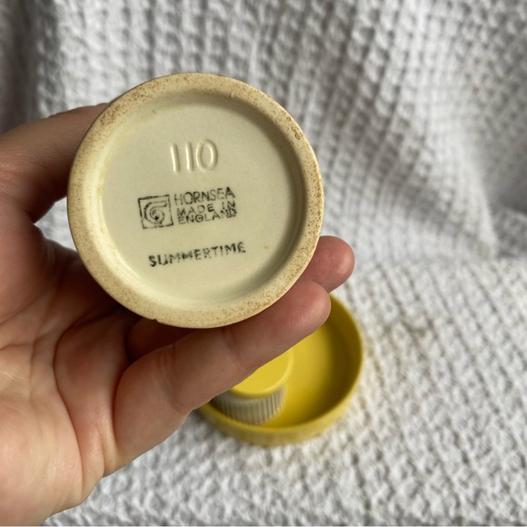 Vintage Hornsea Summertime Cruet set salt & pepper shaker mustard pot & dish MCM - Picture 4 of 16